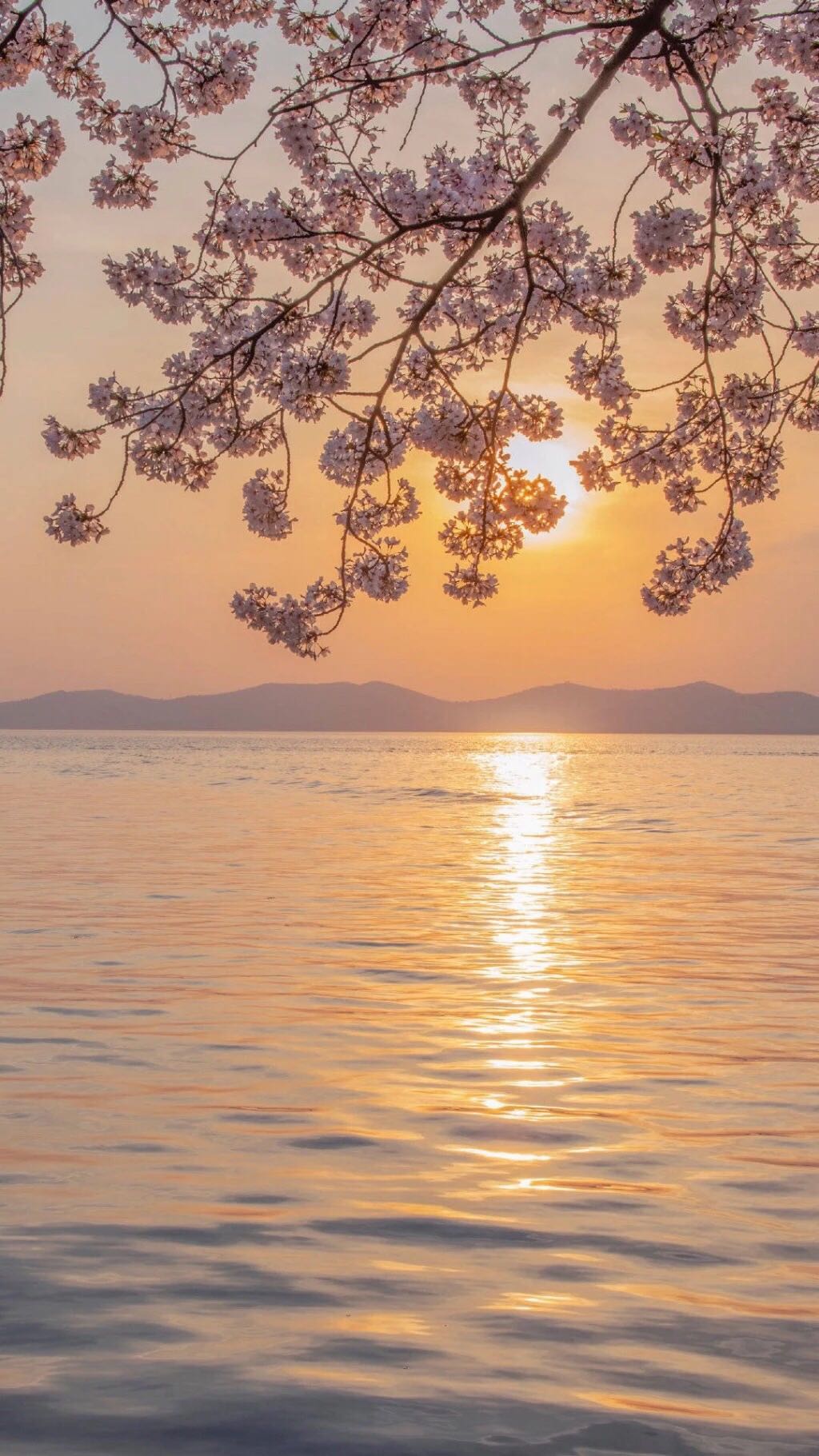 唯美小清新手机壁纸