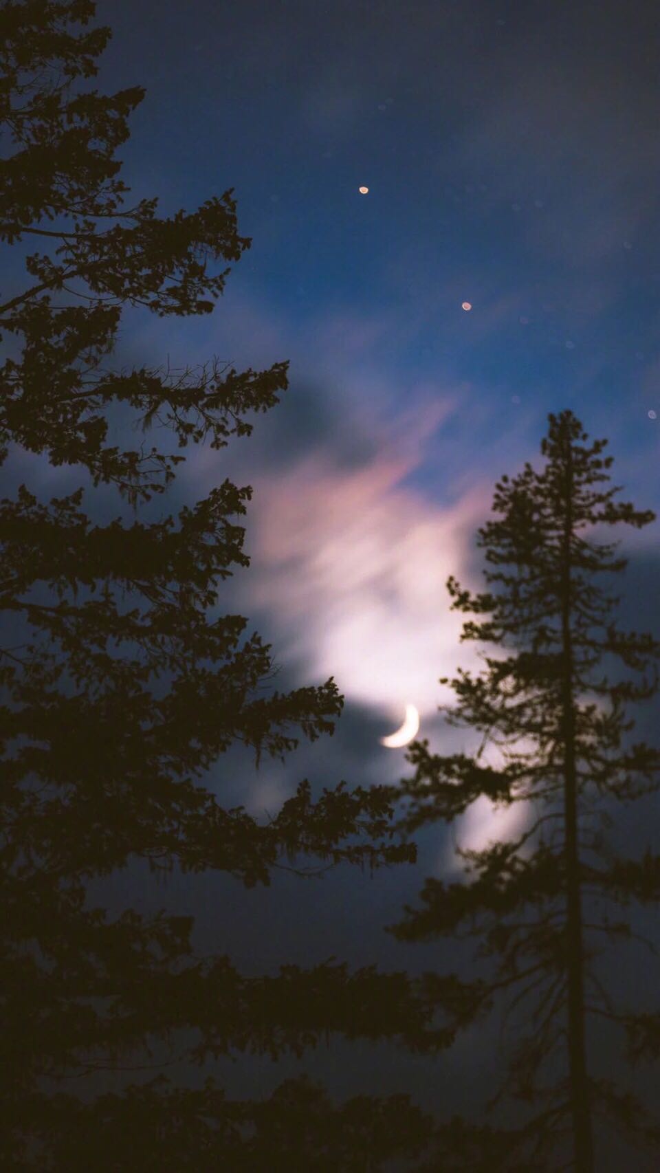 唯美小清新手机壁纸