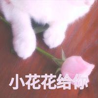 让人家不好意思微信恶搞群聊杂图表情包