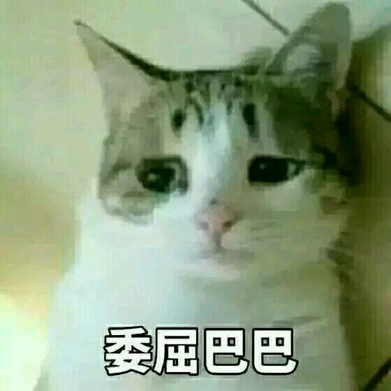 突然出现微信恶搞表情包