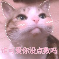 让人家不好意思微信恶搞群聊杂图表情包