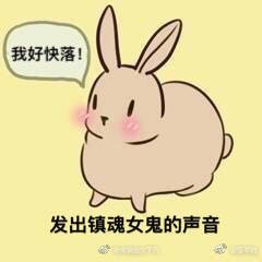 识破微信恶搞逗比群聊杂图表情包