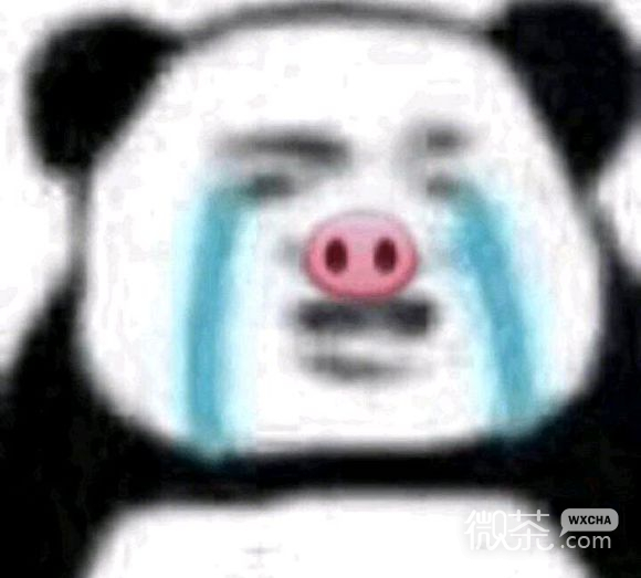 秒懂微信恶搞表情包