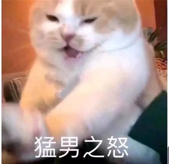 怀疑微信恶搞斗图表情包