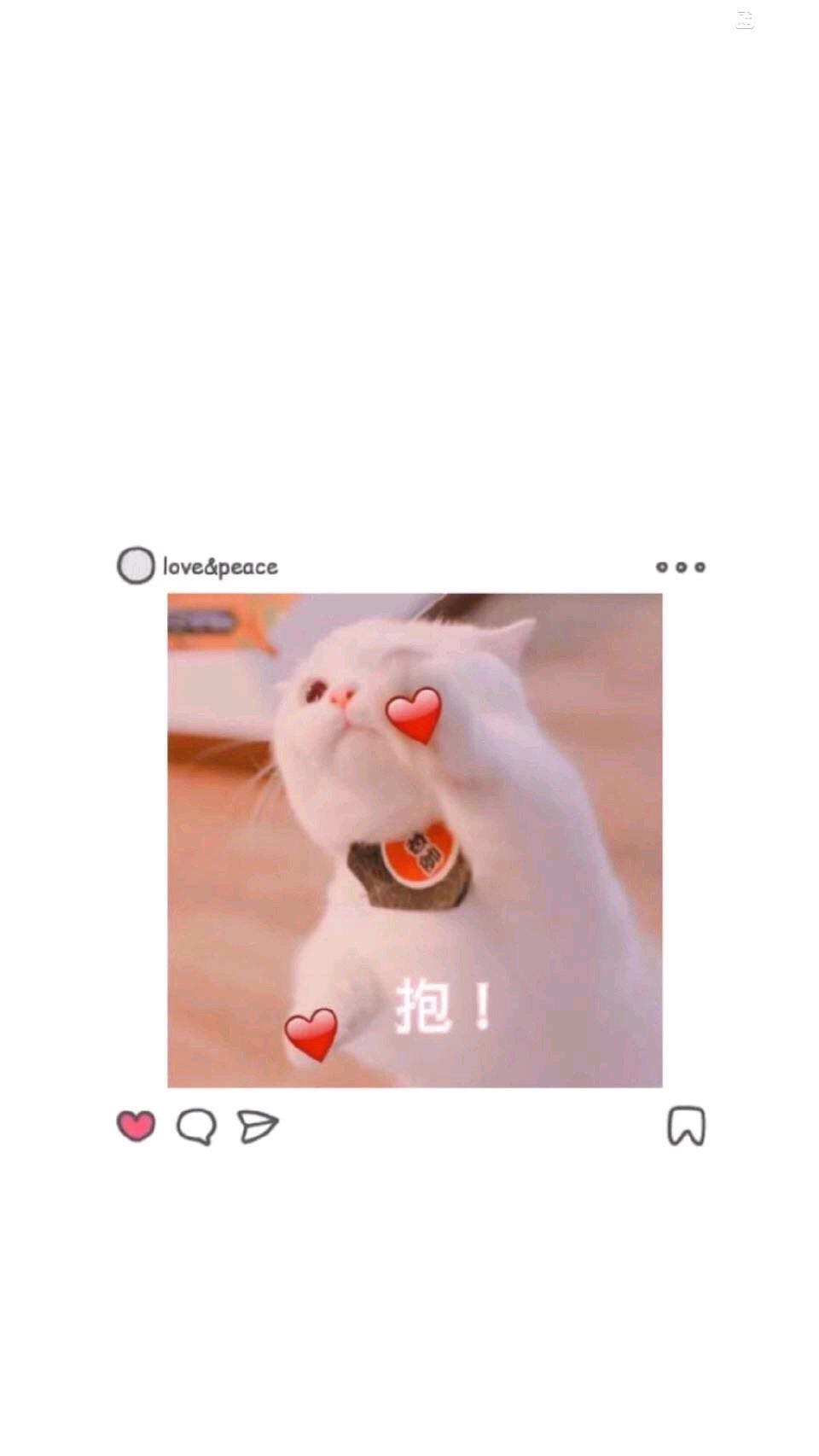 唯美小清新手机壁纸