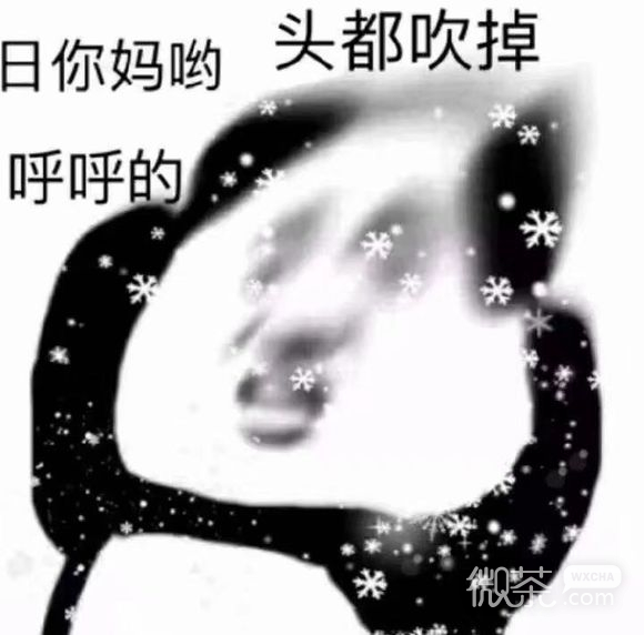 我自闭了微信恶搞表情包