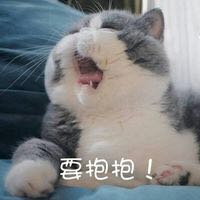 让人家不好意思微信恶搞群聊杂图表情包