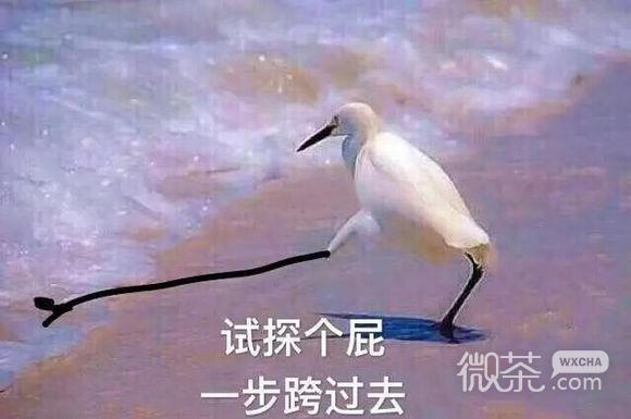 让人家不好意思微信恶搞群聊杂图表情包