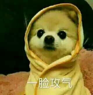 微信近期斗图恶搞表情包2019/7/16（二）