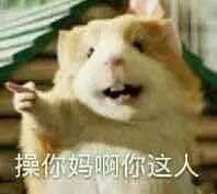 微信近期斗图恶搞表情包2019/7/16（二）