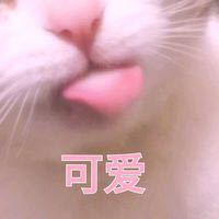 让人家不好意思微信恶搞群聊杂图表情包