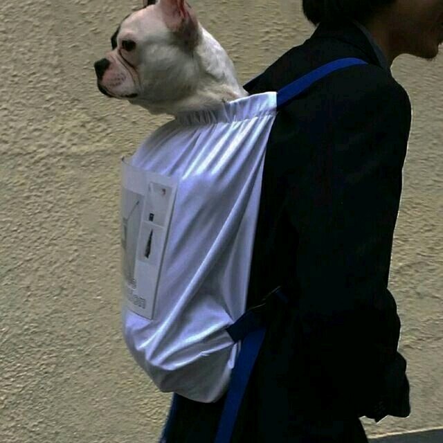 微信霸气非主流潮流欧美男头