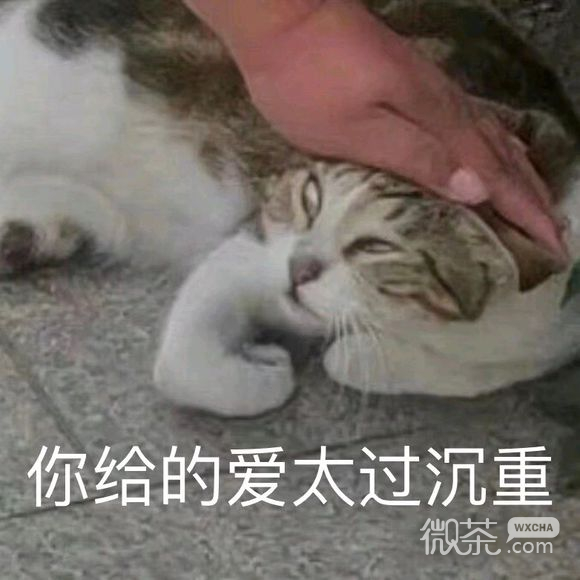 秒懂微信恶搞表情包