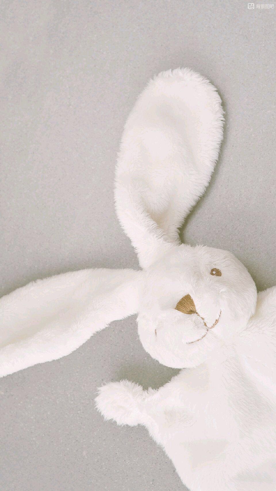 唯美小清新手机壁纸