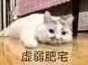 可以微信恶搞群聊杂图表情包