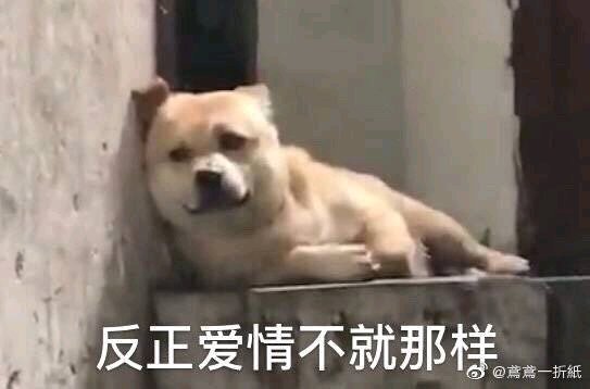 怀疑微信恶搞斗图表情包