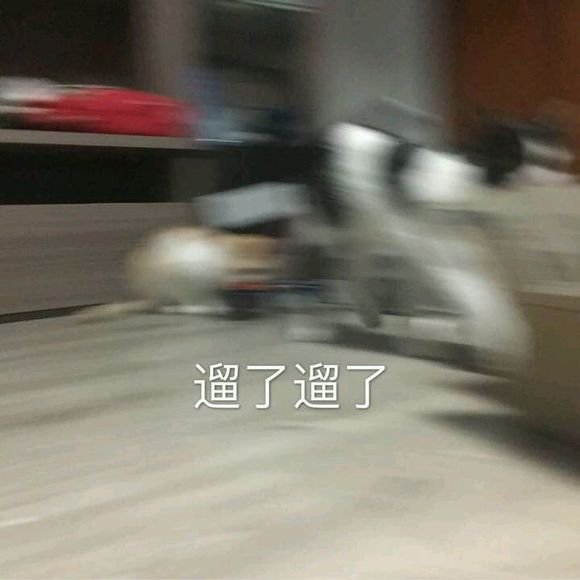 微信近期斗图恶搞表情包2019/7/17（二）