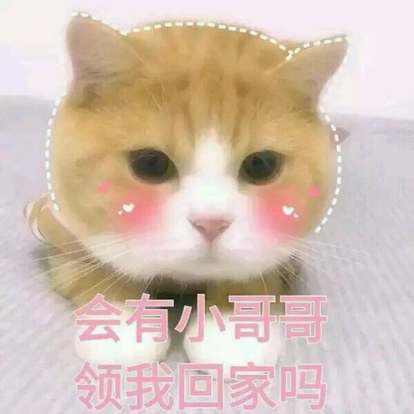 气鼓鼓微信恶搞表情包