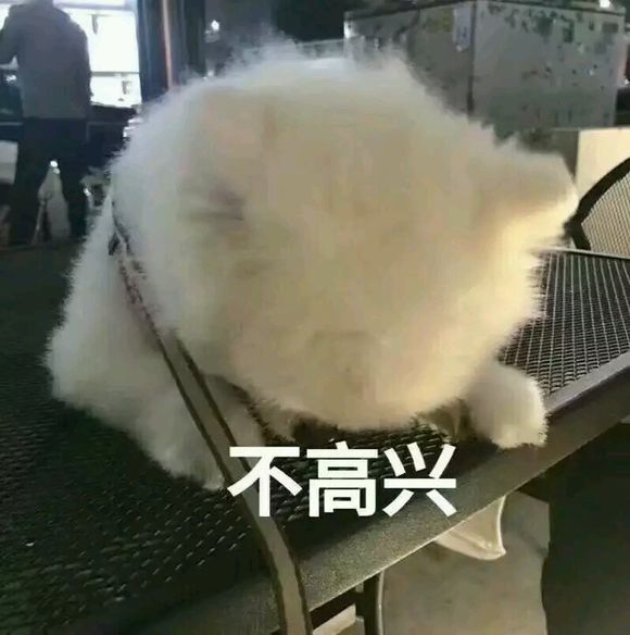 气鼓鼓微信恶搞表情包