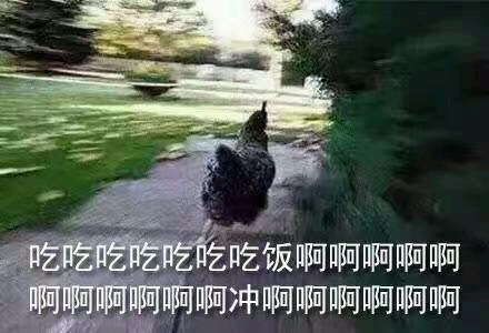 微信近期斗图恶搞表情包2019/7/17（二）