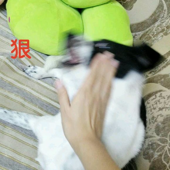 没想到吧微信恶搞群聊杂图表情包