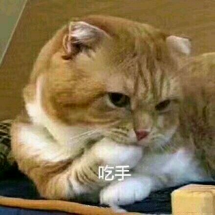 社会微信恶搞群聊杂图表情包