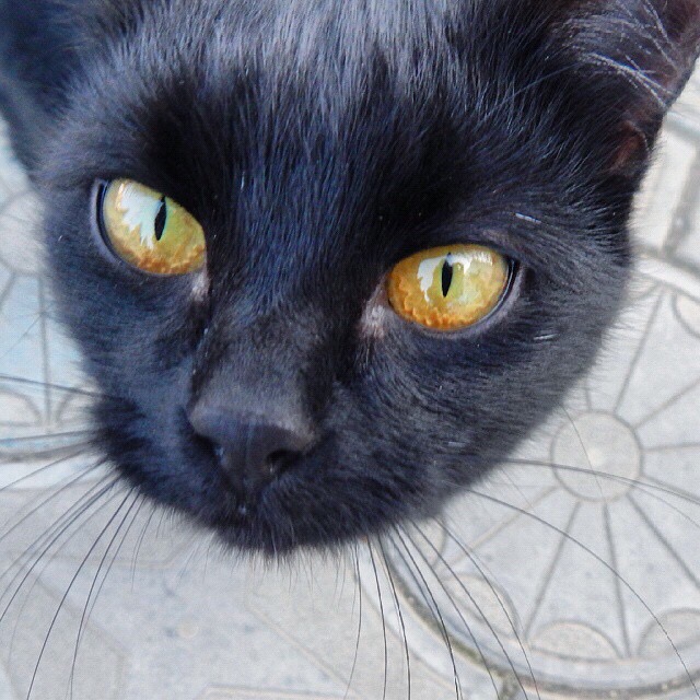 微信清新性感欧美男头