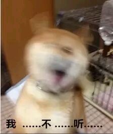 天呐微信恶搞群聊杂图表情包