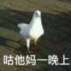 社会微信恶搞群聊杂图表情包