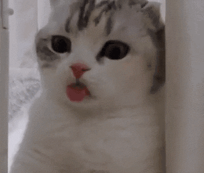 真诚微信恶搞群聊杂图表情包