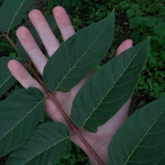 微信清新性感欧美男头