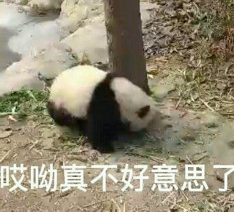 没想到吧微信恶搞群聊杂图表情包