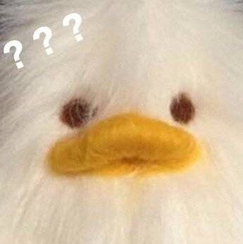 微信近期斗图恶搞表情包2019/7/17（二）