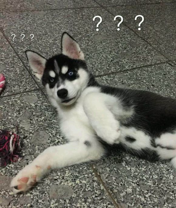 没想到吧微信恶搞群聊杂图表情包