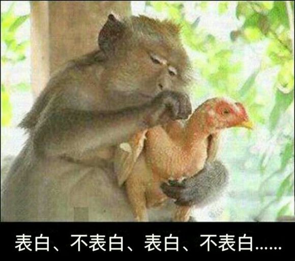 没想到吧微信恶搞群聊杂图表情包