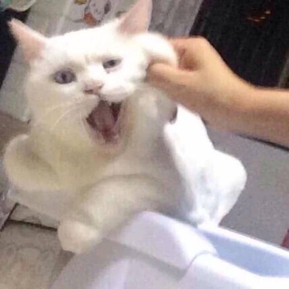 微信近期斗图恶搞表情包2019/7/17（二）