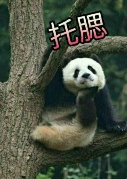 没想到吧微信恶搞群聊杂图表情包