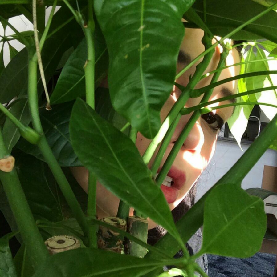 微信清纯深沉性感欧美女头