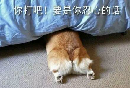 微信近期斗图恶搞表情包2019/7/17（二）