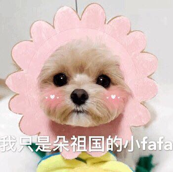 微信近期斗图恶搞表情包2019/7/17（二）