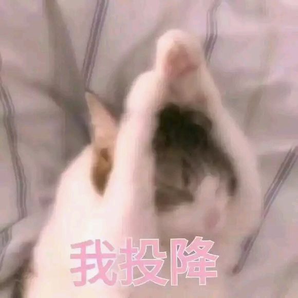 真诚微信恶搞群聊杂图表情包