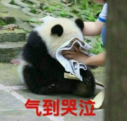 真诚微信恶搞群聊杂图表情包