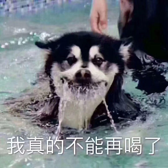 幼稚微信恶搞群聊杂图表情包