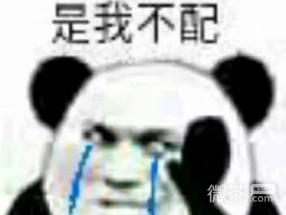 万能表情微信恶搞表情包