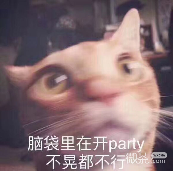 绝望微信恶搞表情包