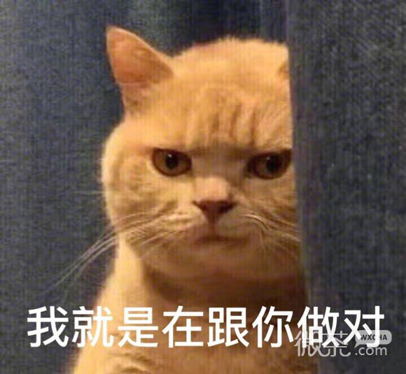 绝望微信恶搞表情包