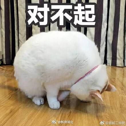 幼稚微信恶搞群聊杂图表情包