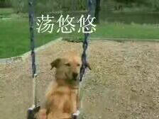 幼稚微信恶搞群聊杂图表情包