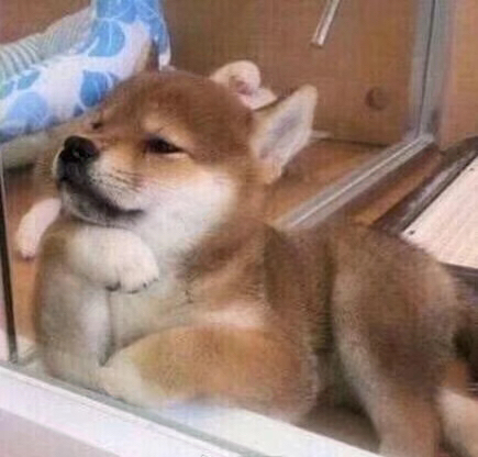 幼稚微信恶搞群聊杂图表情包