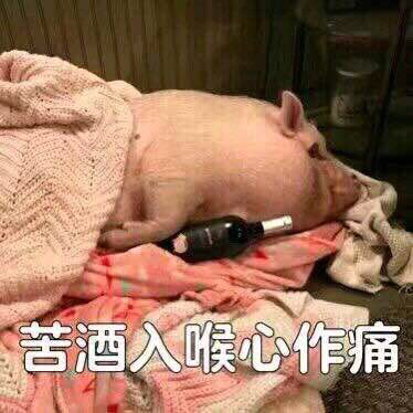 幼稚微信恶搞群聊杂图表情包